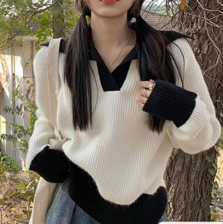 Dominique - Color Block Langarm-Sweatshirt mit Rundhalsausschnitt
