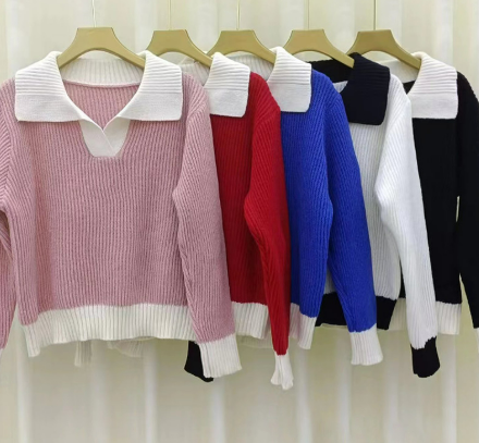 Dominique - Color Block Langarm-Sweatshirt mit Rundhalsausschnitt