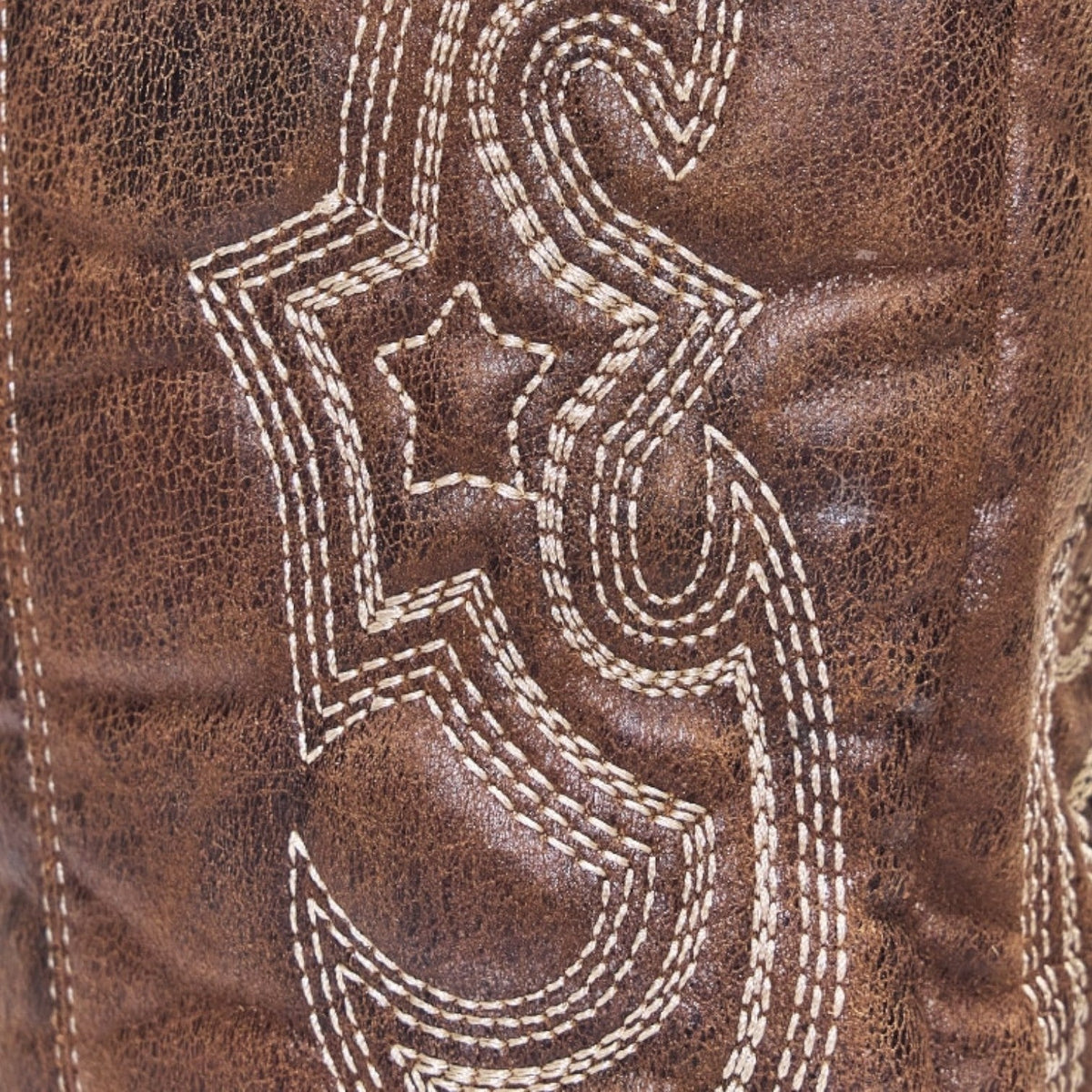 Johanna | Markante und elegante Westernstiefel mit spitzer Zehenpartie 3