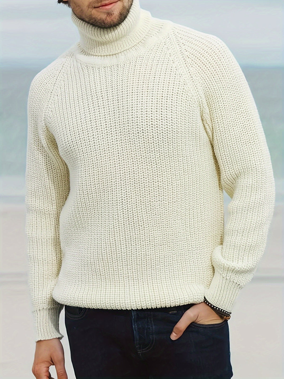 Strickpullover Herren | Rollkragen & Wärmend 2