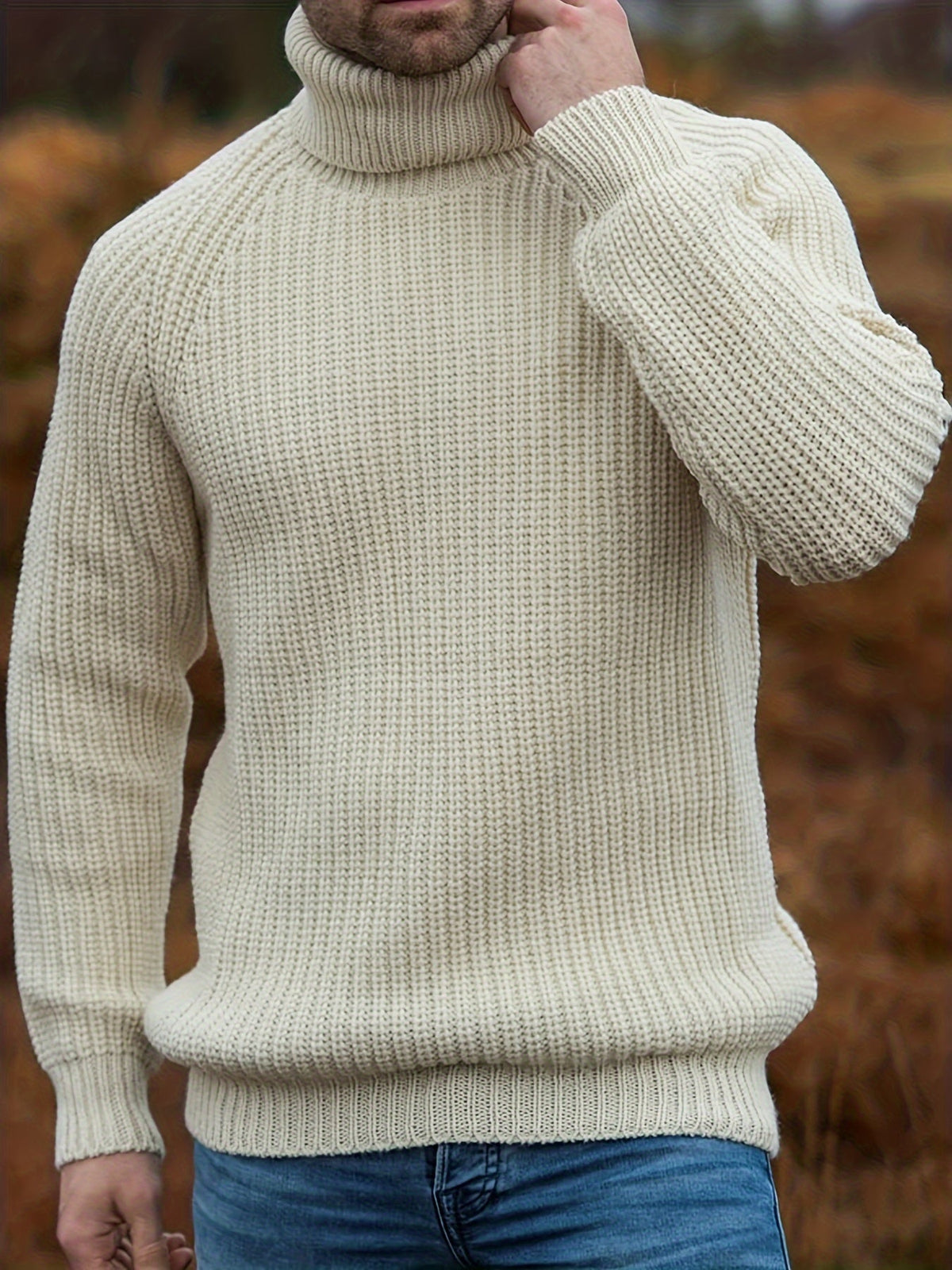 Strickpullover Herren | Rollkragen & Wärmend 1