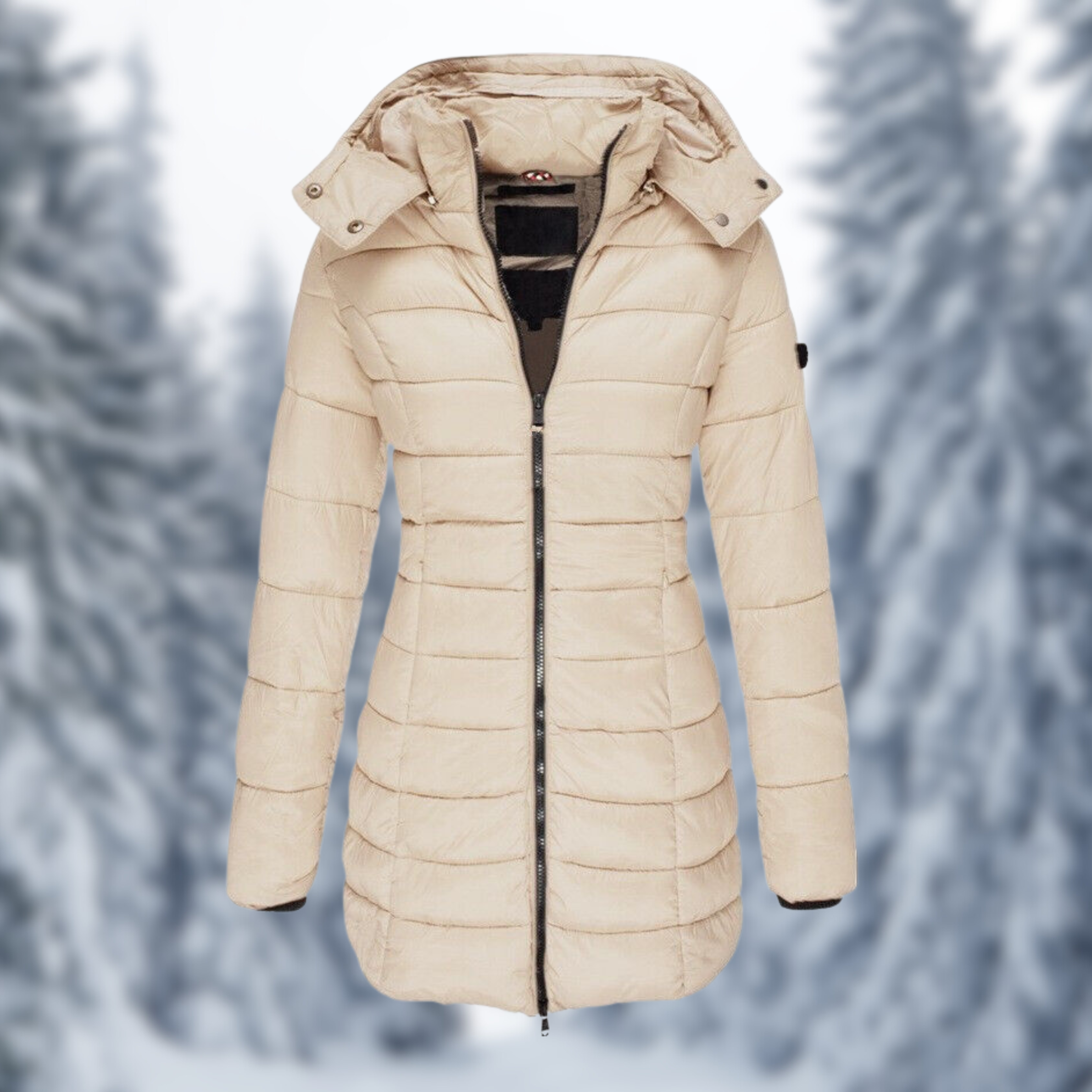 Winterjacke Damen | Steppjacke Damen | Abnehmbare Kapuze & wasserabweisende Oberfläche