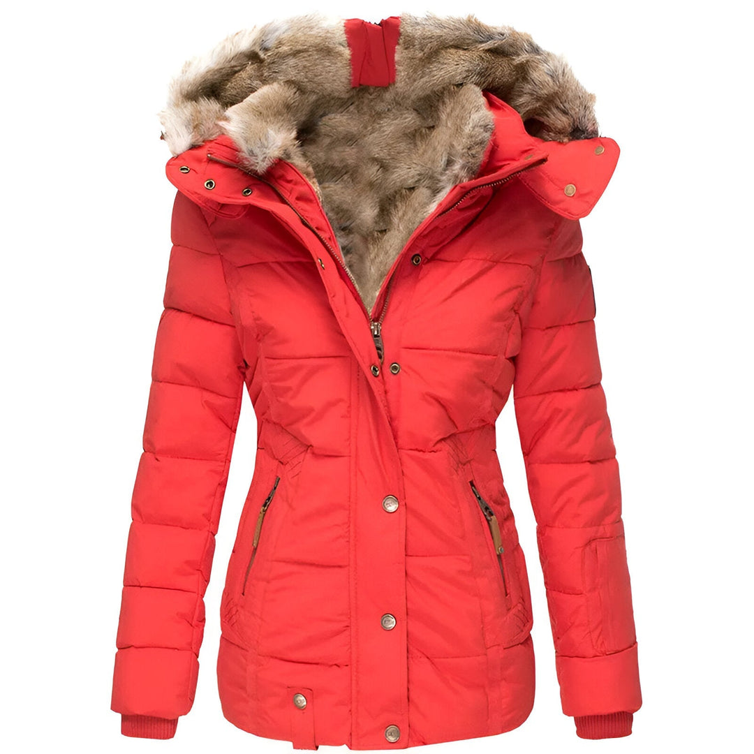 Winterjacke Damen | Taillierter Schnitt mit Kapuze 2